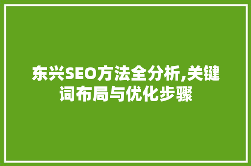 东兴SEO方法全分析,关键词布局与优化步骤 建站教程