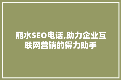 丽水SEO电话,助力企业互联网营销的得力助手