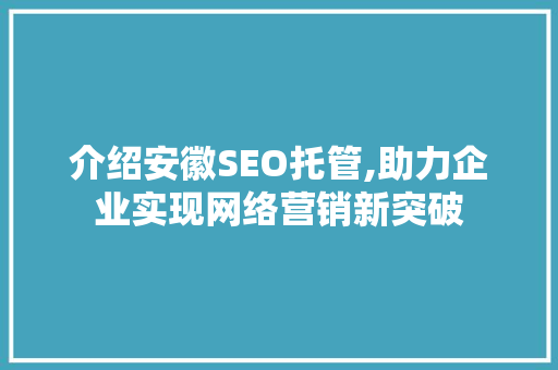 介绍安徽SEO托管,助力企业实现网络营销新突破