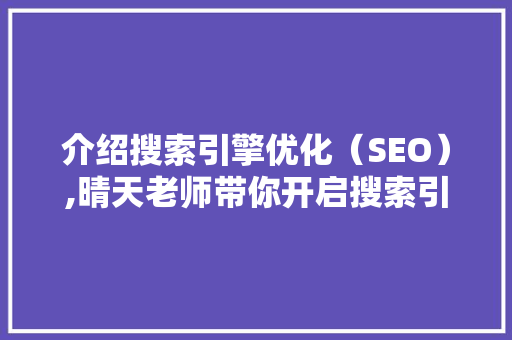 介绍搜索引擎优化（SEO）,晴天老师带你开启搜索引擎排名之旅