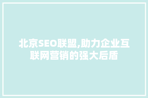 北京SEO联盟,助力企业互联网营销的强大后盾
