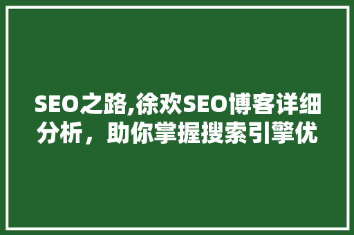 SEO之路,徐欢SEO博客详细分析，助你掌握搜索引擎优化核心方法