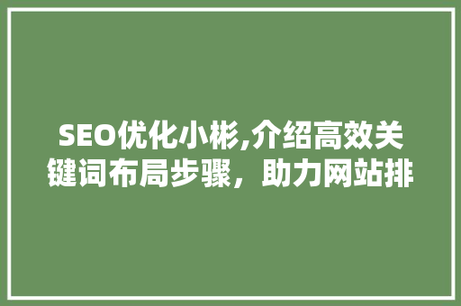 SEO优化小彬,介绍高效关键词布局步骤，助力网站排名跃升