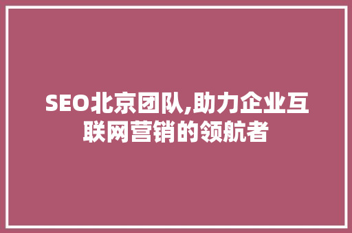 SEO北京团队,助力企业互联网营销的领航者