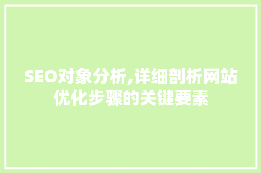 SEO对象分析,详细剖析网站优化步骤的关键要素 WordPress教程
