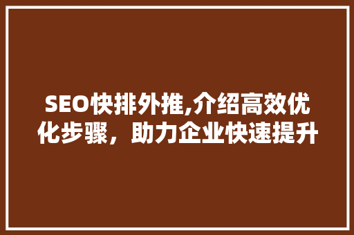 SEO快排外推,介绍高效优化步骤，助力企业快速提升排名