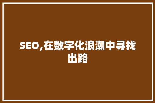 SEO,在数字化浪潮中寻找出路