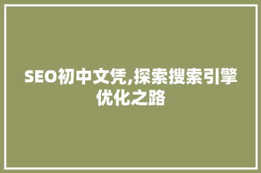 SEO初中文凭,探索搜索引擎优化之路 WordPress教程