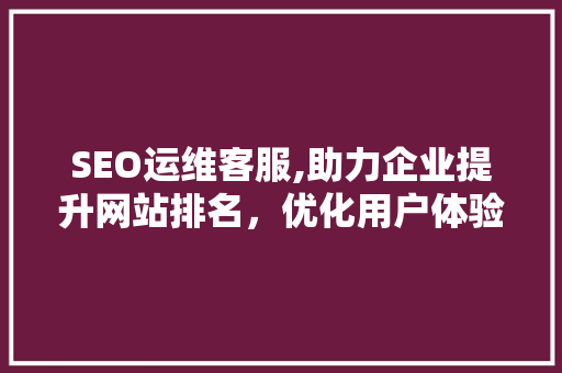 SEO运维客服,助力企业提升网站排名，优化用户体验 Web前端