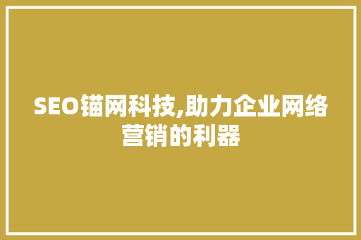 SEO锚网科技,助力企业网络营销的利器 Web前端