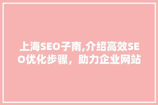 上海SEO子南,介绍高效SEO优化步骤，助力企业网站排名攀升 WordPress教程