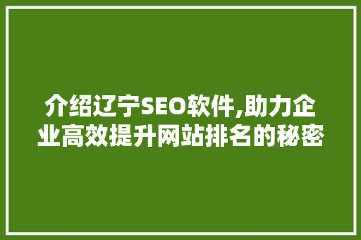 介绍辽宁SEO软件,助力企业高效提升网站排名的秘密武器 SEO教程