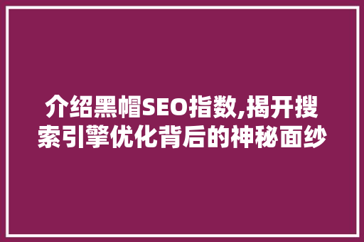 介绍黑帽SEO指数,揭开搜索引擎优化背后的神秘面纱 服务器/数据库