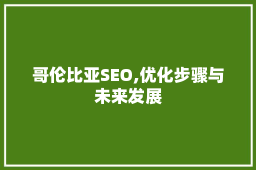 哥伦比亚SEO,优化步骤与未来发展