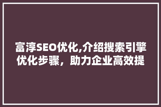 富淳SEO优化,介绍搜索引擎优化步骤，助力企业高效提升网站排名 SEO教程