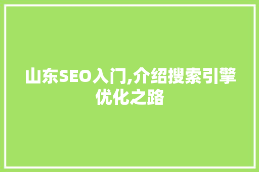 山东SEO入门,介绍搜索引擎优化之路 建站教程