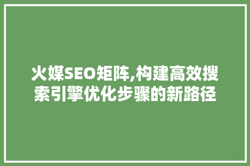 火媒SEO矩阵,构建高效搜索引擎优化步骤的新路径