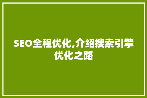 SEO全程优化,介绍搜索引擎优化之路 Web前端