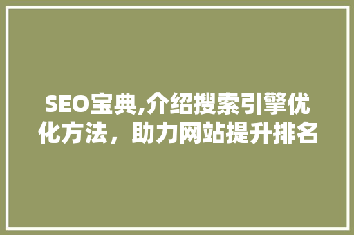 SEO宝典,介绍搜索引擎优化方法，助力网站提升排名