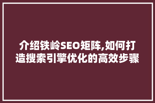 介绍铁岭SEO矩阵,如何打造搜索引擎优化的高效步骤