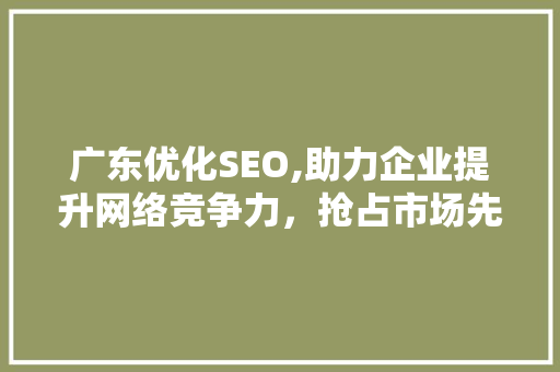 广东优化SEO,助力企业提升网络竞争力，抢占市场先机