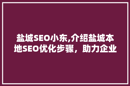 盐城SEO小东,介绍盐城本地SEO优化步骤，助力企业线上崛起