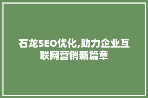 石龙SEO优化,助力企业互联网营销新篇章