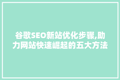 谷歌SEO新站优化步骤,助力网站快速崛起的五大方法
