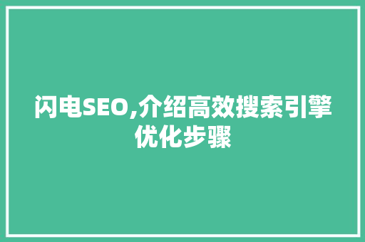 闪电SEO,介绍高效搜索引擎优化步骤 服务器/数据库