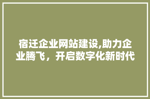 宿迁企业网站建设,助力企业腾飞，开启数字化新时代