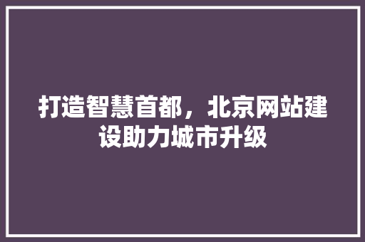 打造智慧首都，北京网站建设助力城市升级