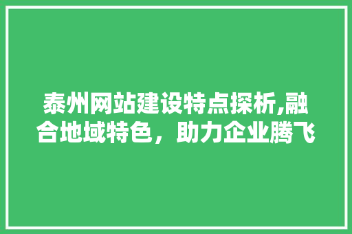 泰州网站建设特点探析,融合地域特色，助力企业腾飞