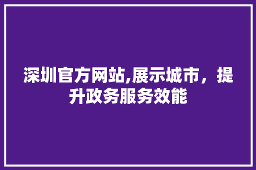 深圳官方网站,展示城市，提升政务服务效能