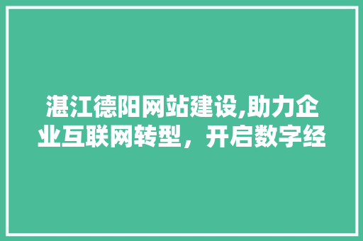 湛江德阳网站建设,助力企业互联网转型，开启数字经济新篇章 Web前端