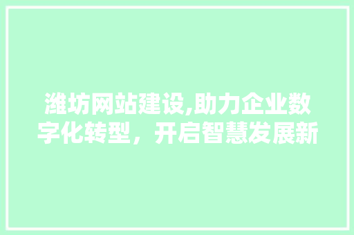潍坊网站建设,助力企业数字化转型，开启智慧发展新篇章