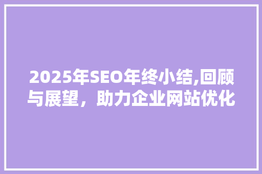 2025年SEO年终小结,回顾与展望，助力企业网站优化之路