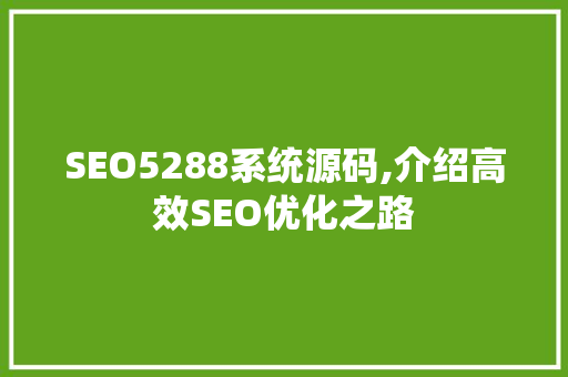 SEO5288系统源码,介绍高效SEO优化之路