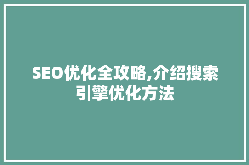 SEO优化全攻略,介绍搜索引擎优化方法 Web前端