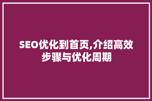 SEO优化到首页,介绍高效步骤与优化周期 Web前端