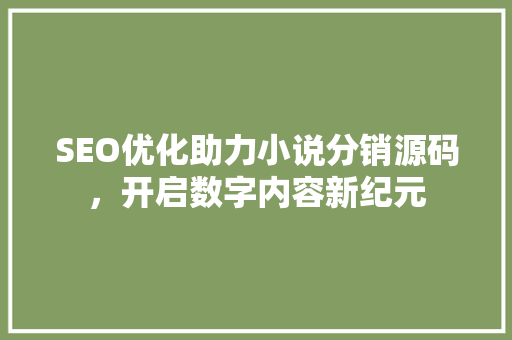 SEO优化助力小说分销源码，开启数字内容新纪元