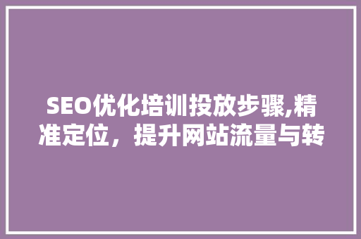 SEO优化培训投放步骤,精准定位，提升网站流量与转化率 建站教程