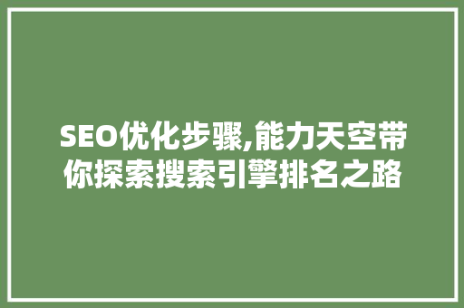 SEO优化步骤,能力天空带你探索搜索引擎排名之路