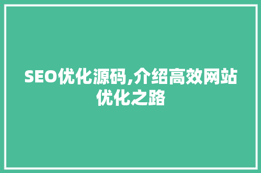 SEO优化源码,介绍高效网站优化之路