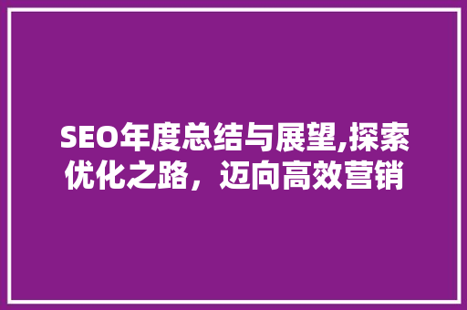 SEO年度总结与展望,探索优化之路，迈向高效营销