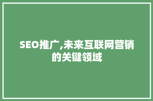 SEO推广,未来互联网营销的关键领域 SEO教程