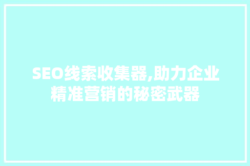 SEO线索收集器,助力企业精准营销的秘密武器