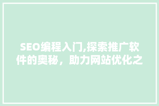 SEO编程入门,探索推广软件的奥秘，助力网站优化之路 服务器/数据库