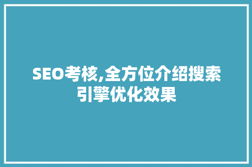 SEO考核,全方位介绍搜索引擎优化效果 WordPress教程