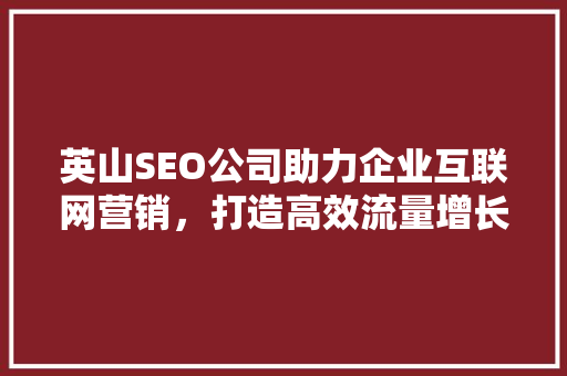 英山SEO公司助力企业互联网营销，打造高效流量增长步骤 建站教程
