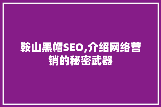 鞍山黑帽SEO,介绍网络营销的秘密武器